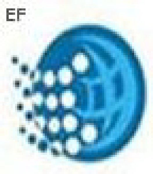 2008中國(guó)潔凈展(第十一屆中國(guó)國(guó)際潔凈技術(shù)論壇暨展覽)