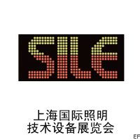 2009 上海國(guó)際LED、發(fā)光體及城市節(jié)能照明技術(shù)設(shè)備展覽會(huì)