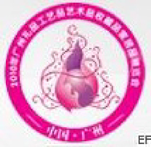 2010中國廣州國際禮品工藝品家居品博覽會