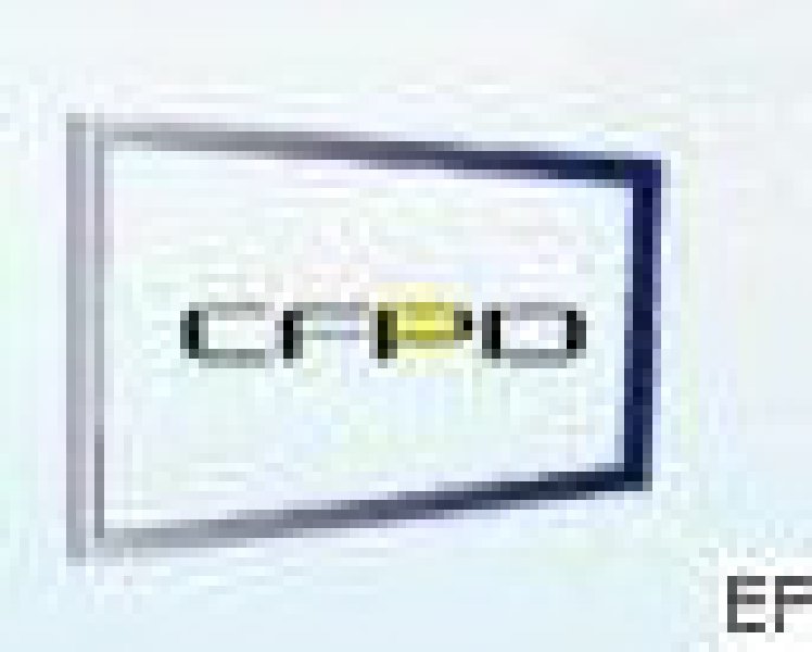 2010第四屆中國(guó)(上海)國(guó)際平板顯示展覽會(huì)