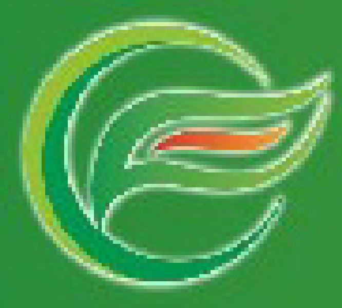 2010中國國際食品工業(yè)經(jīng)貿(mào)洽談會(中山、黃圃)