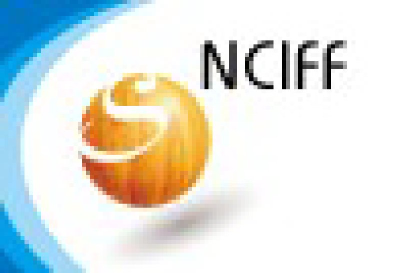 第八屆中國國際家具及木工機(jī)械(北方)展覽會(huì)