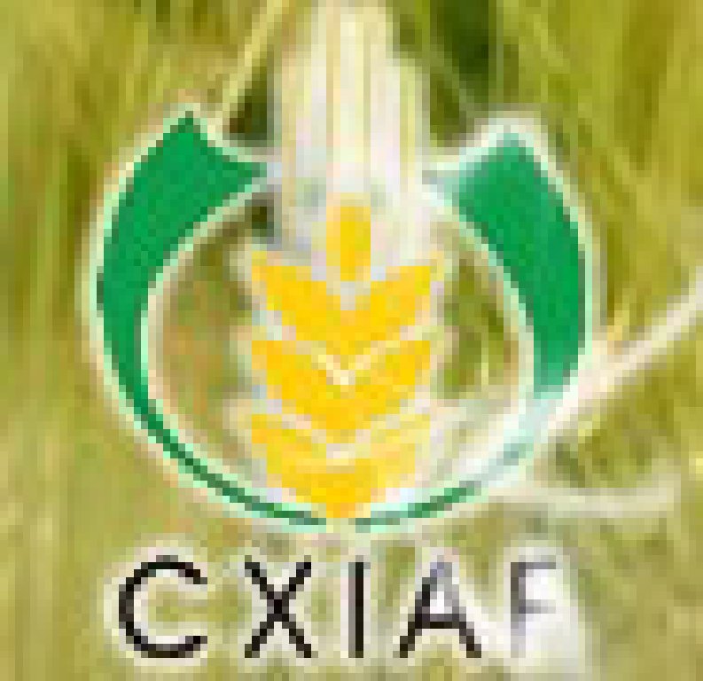 2011第十一屆新疆國際農業博覽會