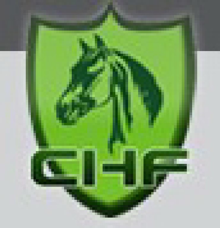 2011第五屆中國國際馬業(yè)馬術(shù)展覽會