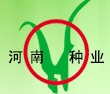 2013河南省夏季種子信息交流暨產品展覽會