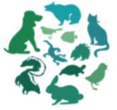 2025第13屆中國(深圳)國際寵物用品展覽會